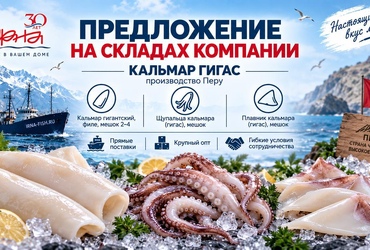 Кальмар Гигас